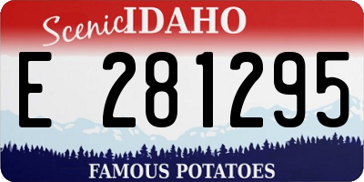 ID license plate E281295