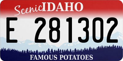 ID license plate E281302