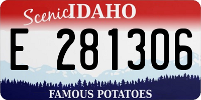ID license plate E281306
