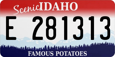 ID license plate E281313