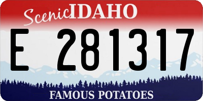 ID license plate E281317