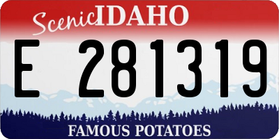 ID license plate E281319