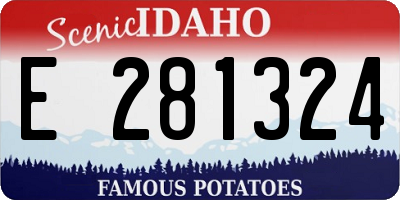 ID license plate E281324