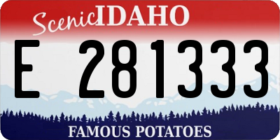 ID license plate E281333