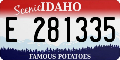 ID license plate E281335