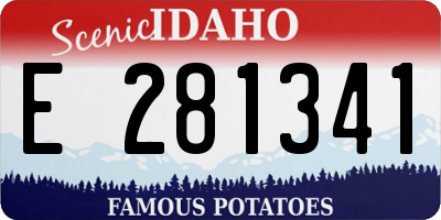 ID license plate E281341