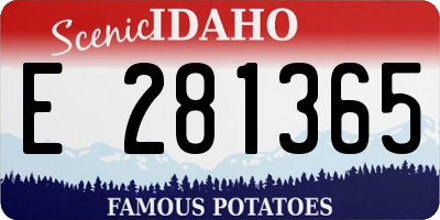 ID license plate E281365