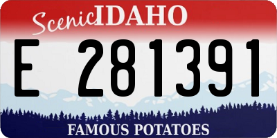 ID license plate E281391