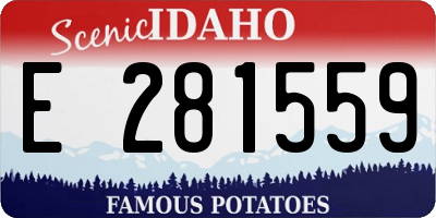 ID license plate E281559