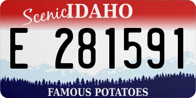 ID license plate E281591