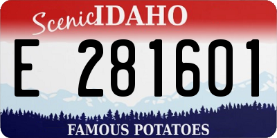 ID license plate E281601