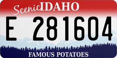ID license plate E281604