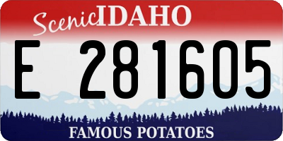 ID license plate E281605