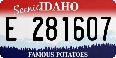 ID license plate E281607