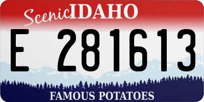 ID license plate E281613
