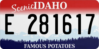 ID license plate E281617