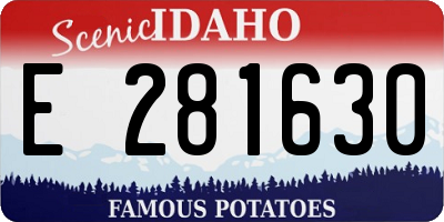 ID license plate E281630
