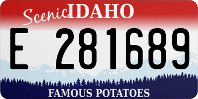 ID license plate E281689