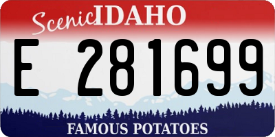 ID license plate E281699