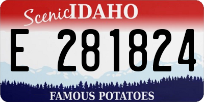 ID license plate E281824