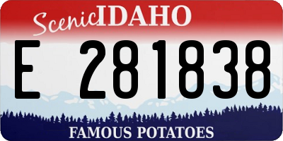 ID license plate E281838