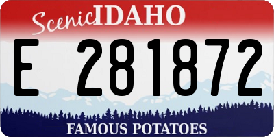 ID license plate E281872