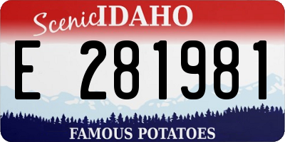 ID license plate E281981