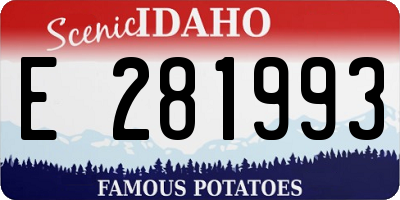ID license plate E281993