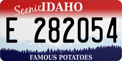ID license plate E282054