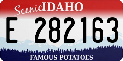 ID license plate E282163