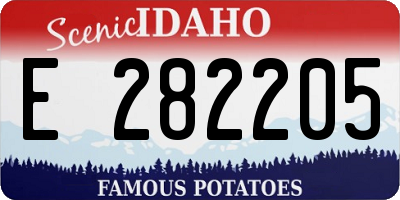 ID license plate E282205