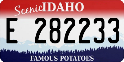 ID license plate E282233