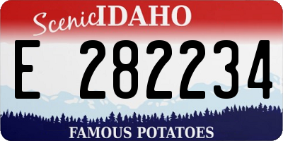 ID license plate E282234