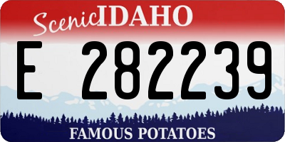 ID license plate E282239