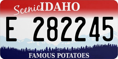 ID license plate E282245