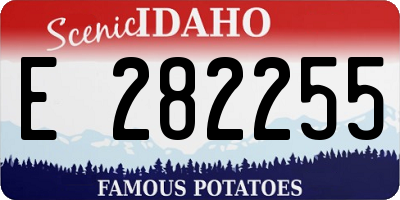 ID license plate E282255