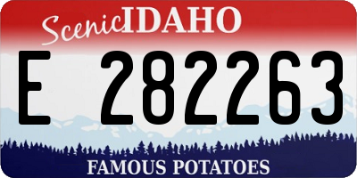 ID license plate E282263
