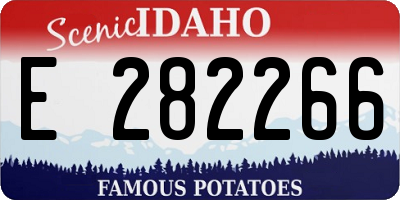 ID license plate E282266