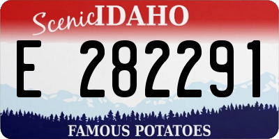 ID license plate E282291