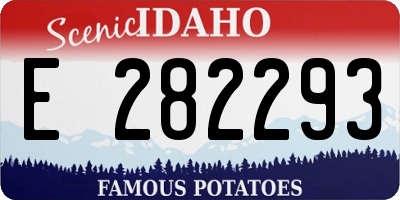 ID license plate E282293