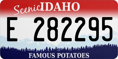 ID license plate E282295