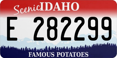 ID license plate E282299