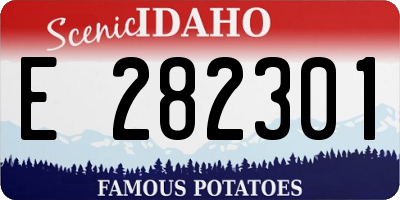 ID license plate E282301