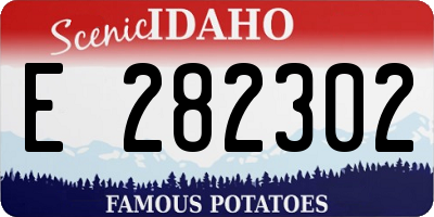 ID license plate E282302