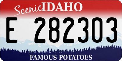 ID license plate E282303
