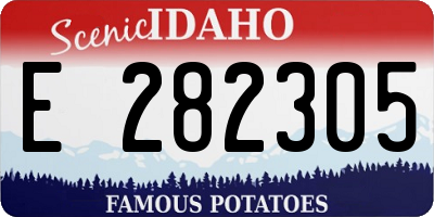 ID license plate E282305