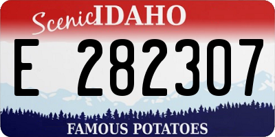 ID license plate E282307