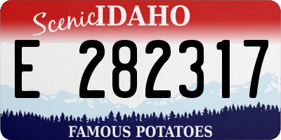 ID license plate E282317
