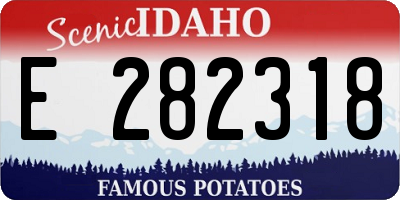 ID license plate E282318