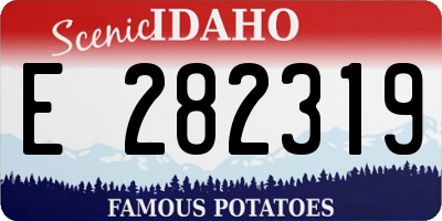 ID license plate E282319